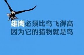 娱乐吃瓜酱励志文案图片,从吃瓜到追梦，她用行动诠释了青春的力量